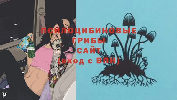 герыч Сосновка
