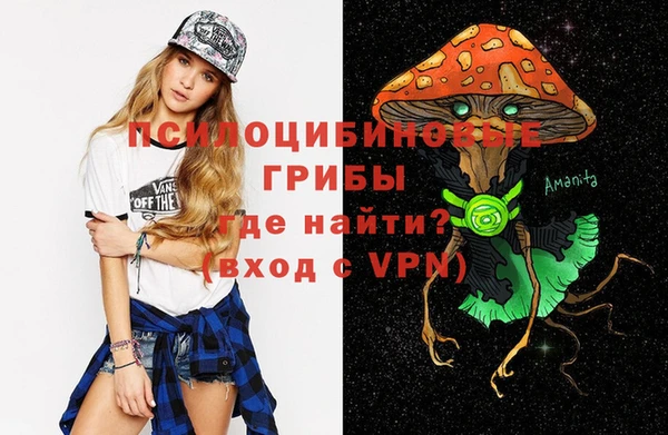 Альфа ПВП Арсеньев